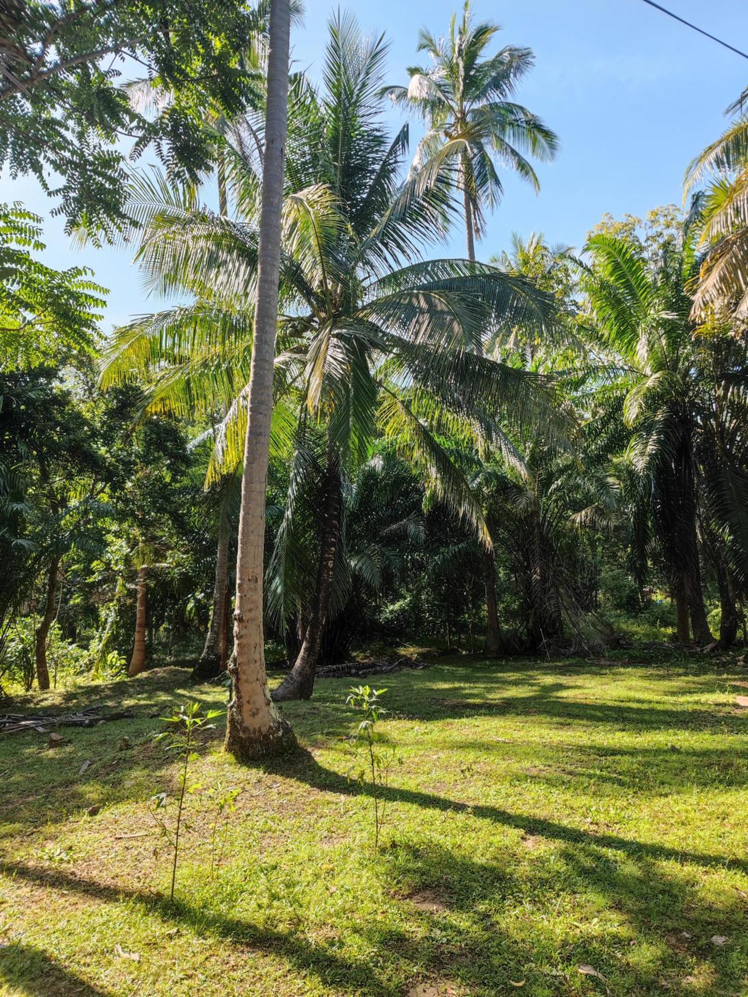 Ko Yao The Secret Garden Homestay Koh Yao Yai מראה חיצוני תמונה