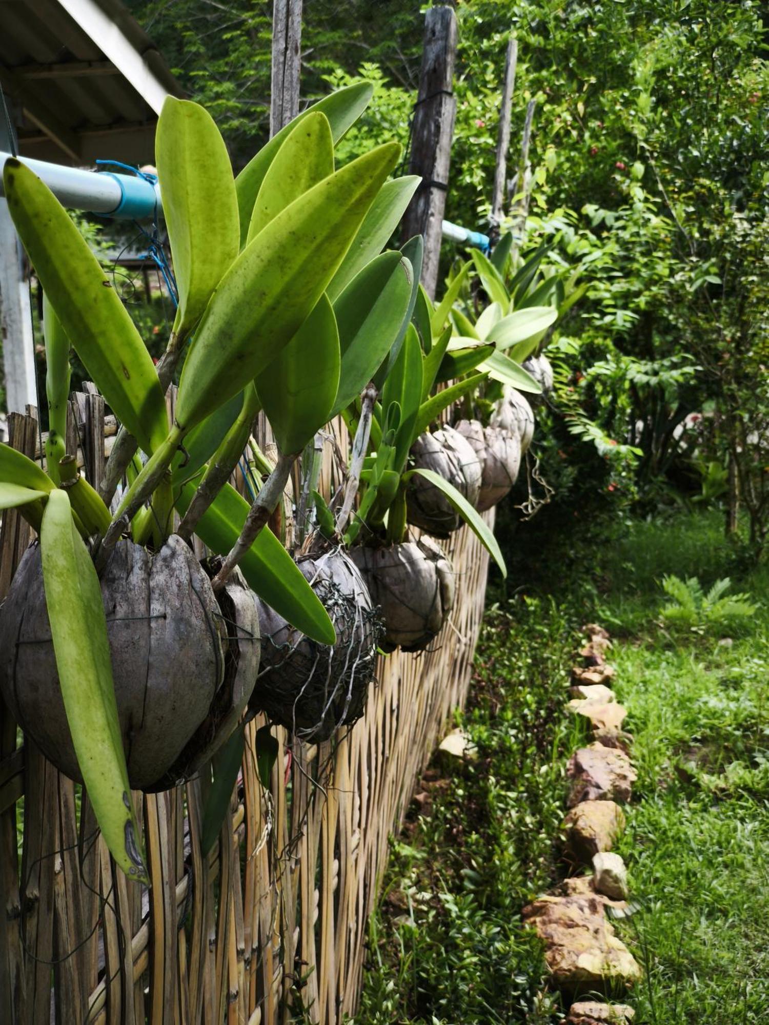 Ko Yao The Secret Garden Homestay Koh Yao Yai מראה חיצוני תמונה